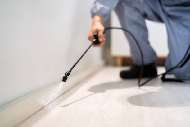 Rodent Entry Point Assessment in Niagara Falls