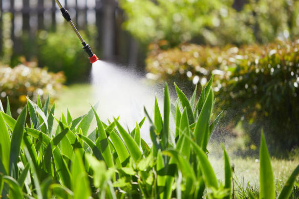 Tamper-Resistant Bait Stations for Rodents in Niagara Falls