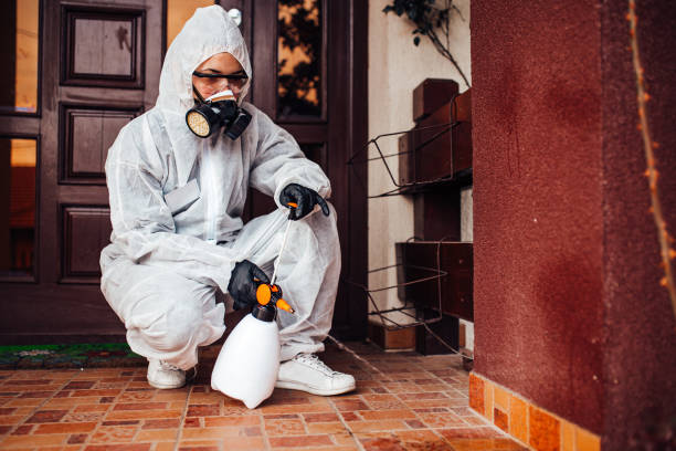 Attic and Crawl Space Rodent Treatment in Niagara Falls