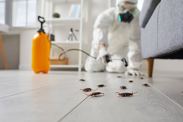 Commercial Rodent Management in Niagara Falls